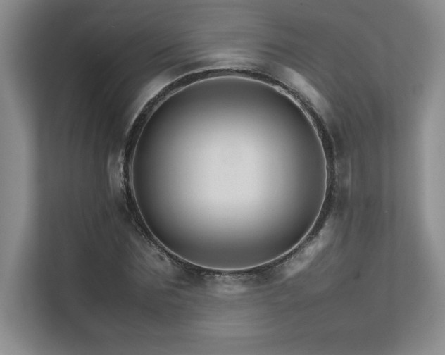 X0000111680875200907171631