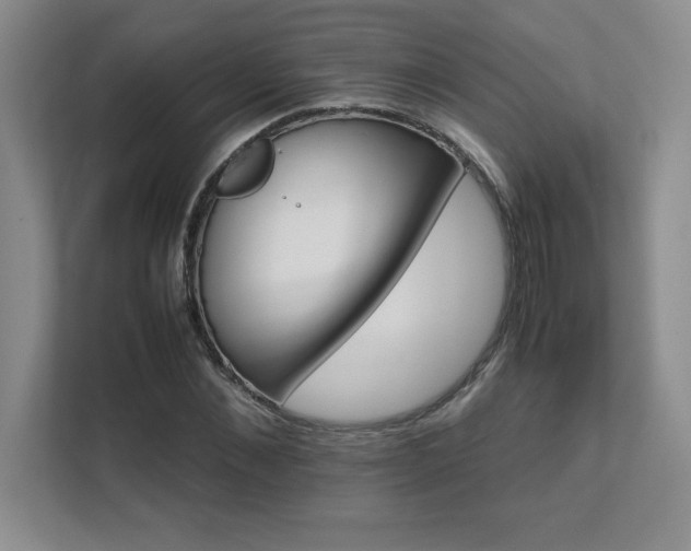 X0000111680876200907171631