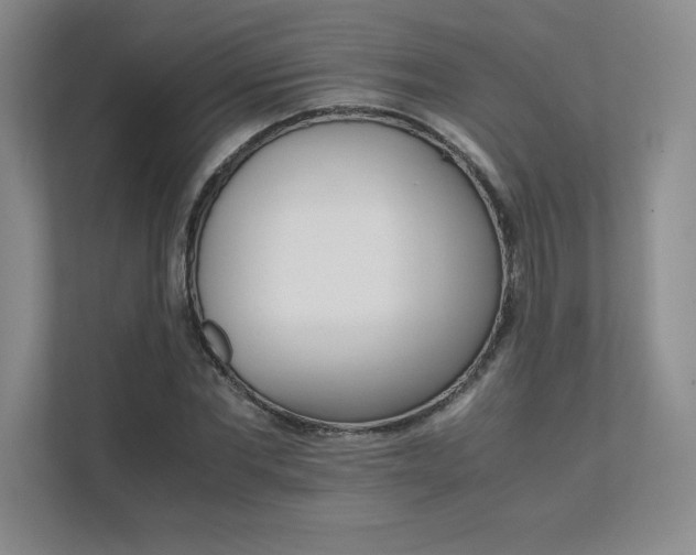 X0000111680877200907171631