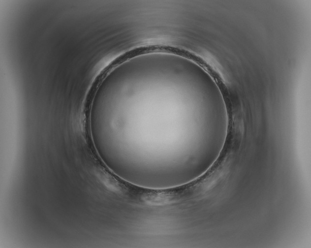 X0000111680879200907171631