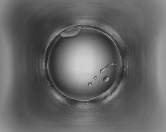 X0000111680880200907171631