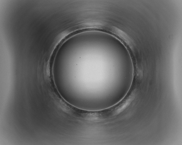 X0000111680883200907171631