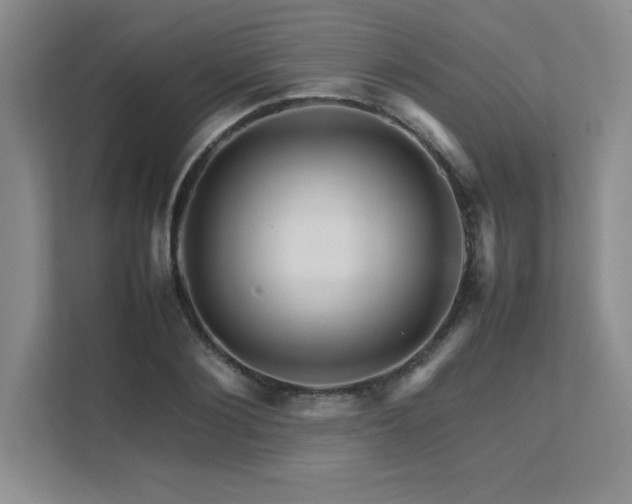 X0000111680884200907171631