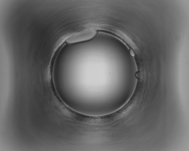 X0000111680885200907171631