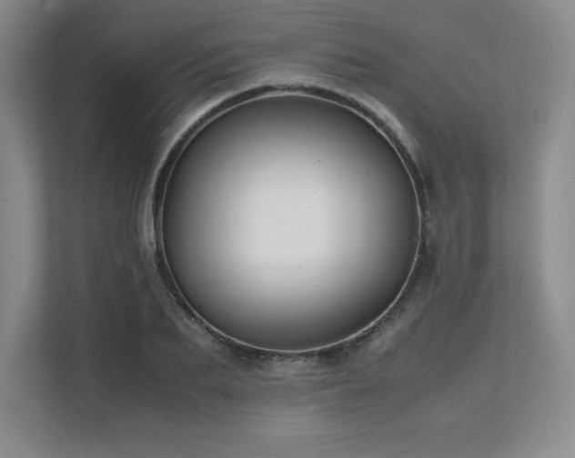 X0000111680887200907171631