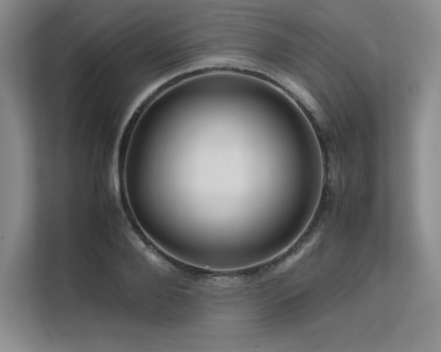 X0000111680888200907171631