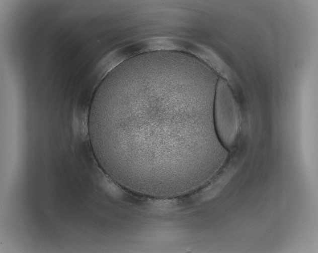 X0000111680889200907171631