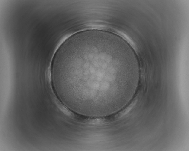 X0000111680891200907171631