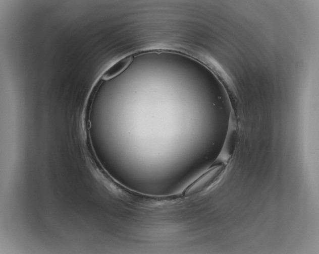 X0000111680892200907171631