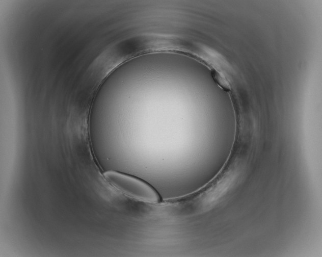 X0000111680897200907171631