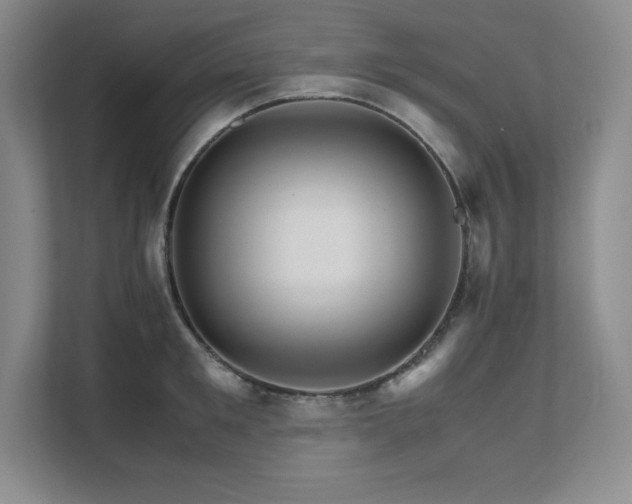 X0000111680901200907171631