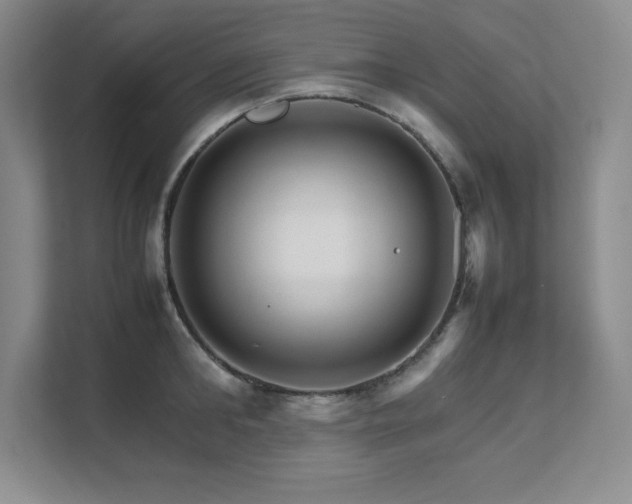 X0000111680902200907171631