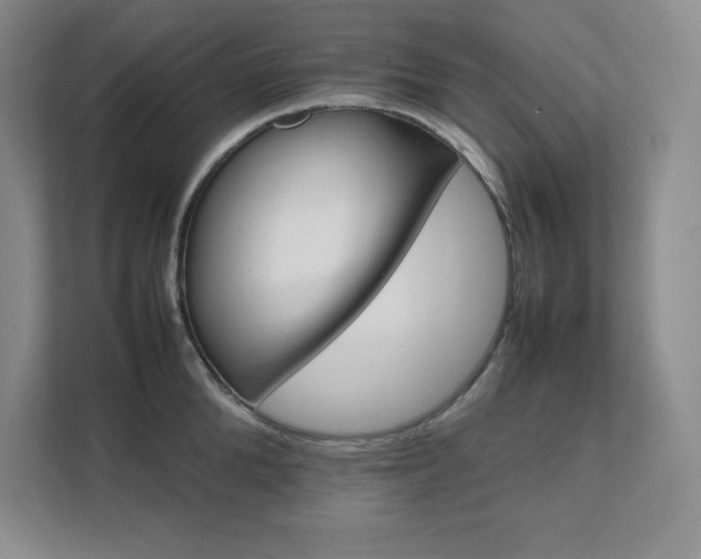 X0000111680904200907171631