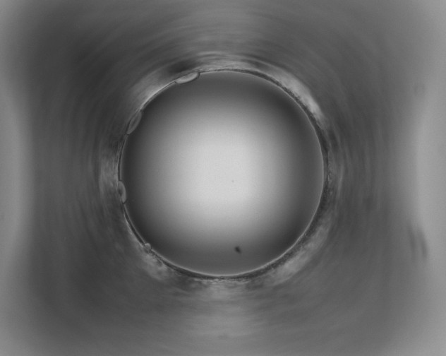 X0000111680905200907171631