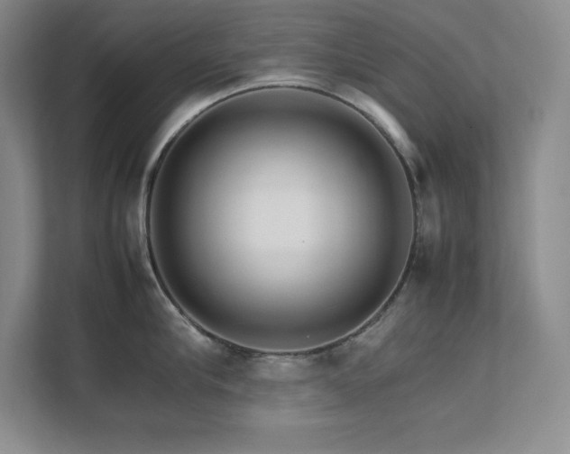 X0000111680910200907171631