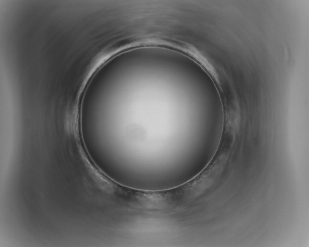 X0000111680911200907171631