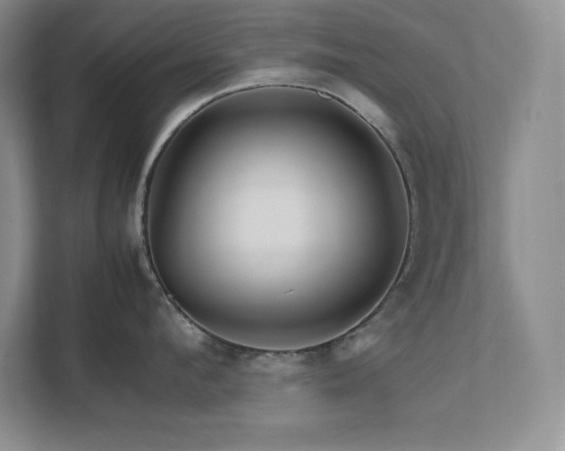 X0000111680912200907171631