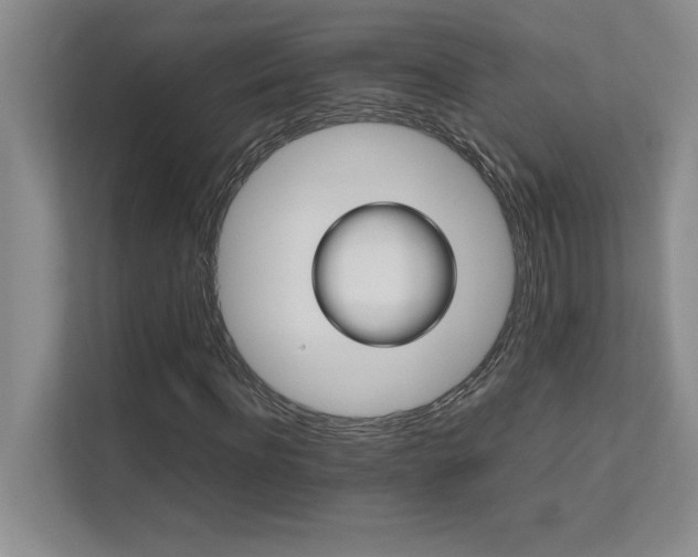 X0000111680916200907171630