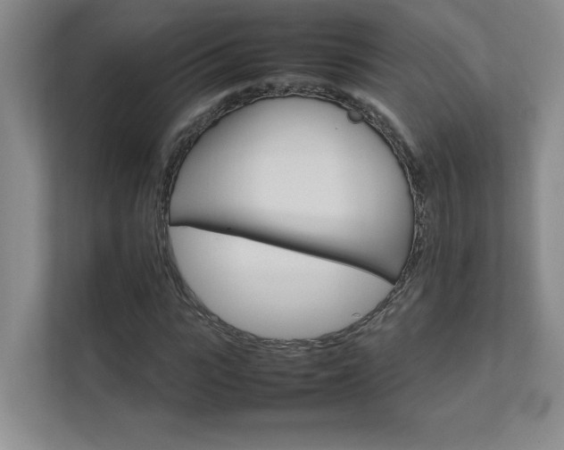 X0000111680919200907171630