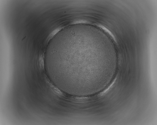 X0000111680921200907171630