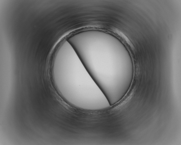 X0000111680923200907171631