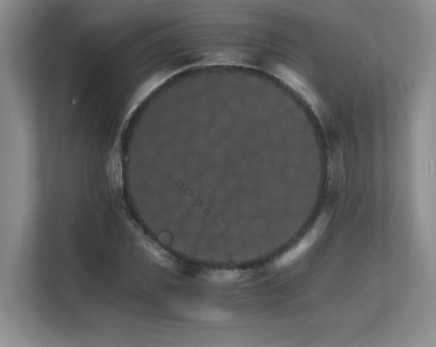 X0000111680925200907171631