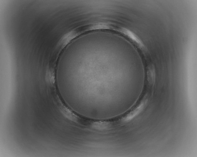 X0000111680929200907171631