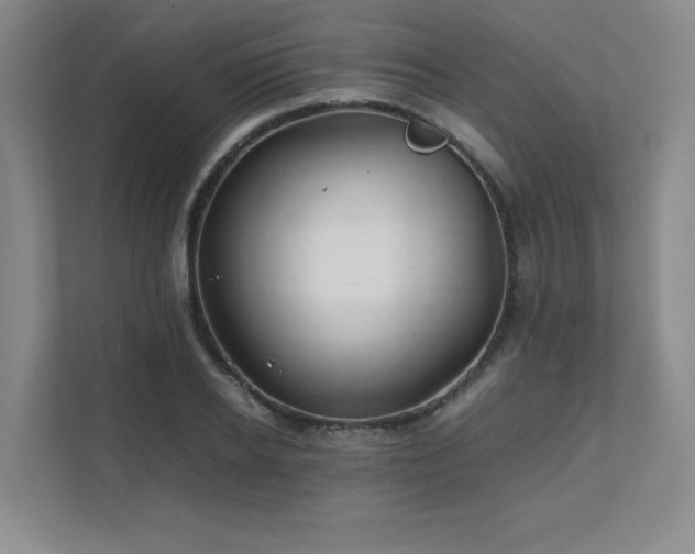 X0000111680934200907171631