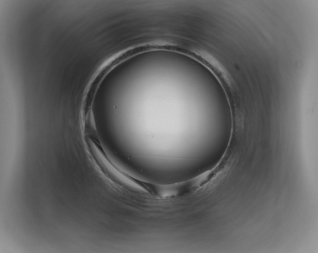 X0000111680935200907171631