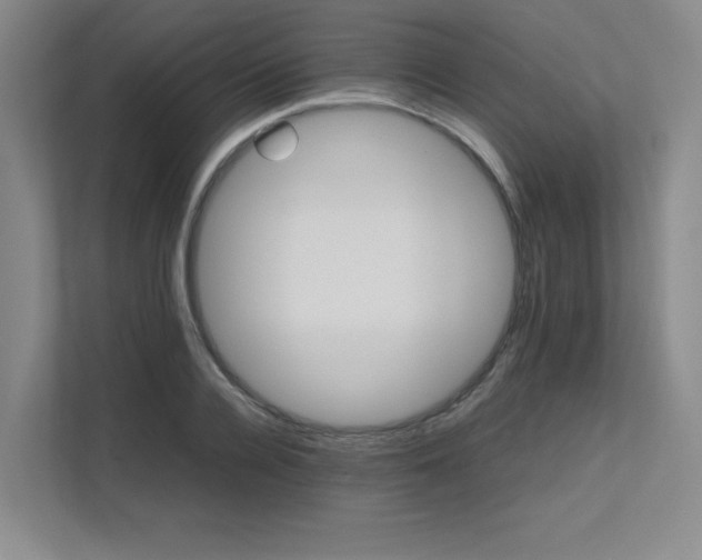 X0000111680936200907171631