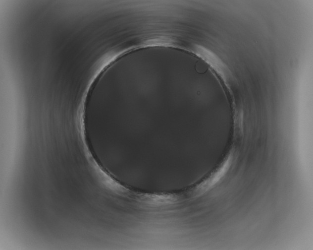 X0000111680941200907171631