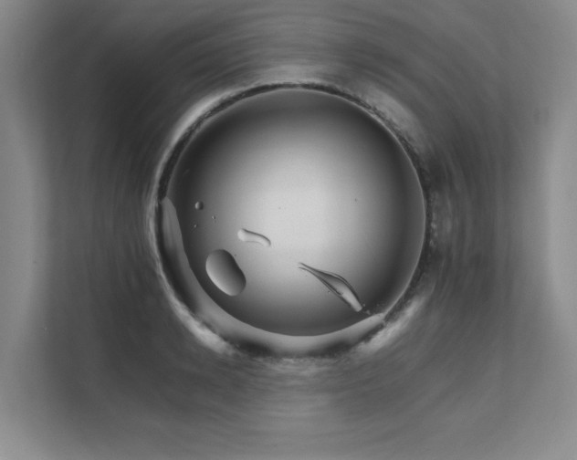 X0000111680942200907171631