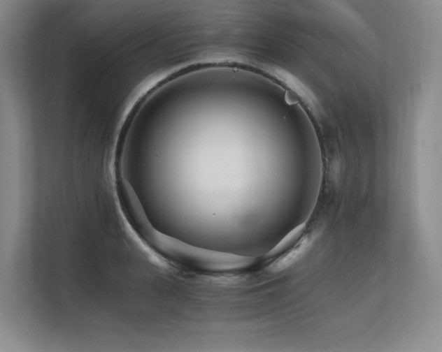 X0000111680943200907171631