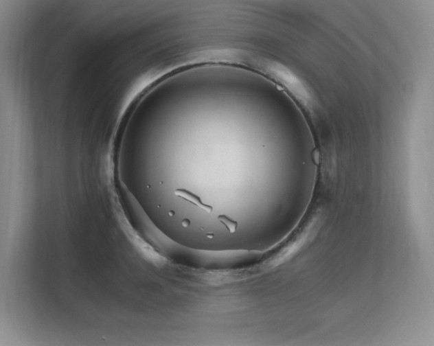 X0000111680944200907171631