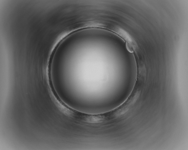 X0000111680947200907171631