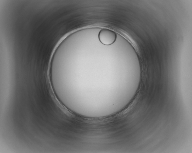 X0000111680948200907171631