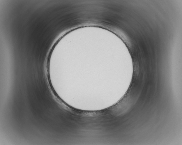 X0000111680950200907171631