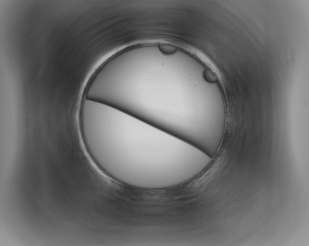 X0000111680951200907171631