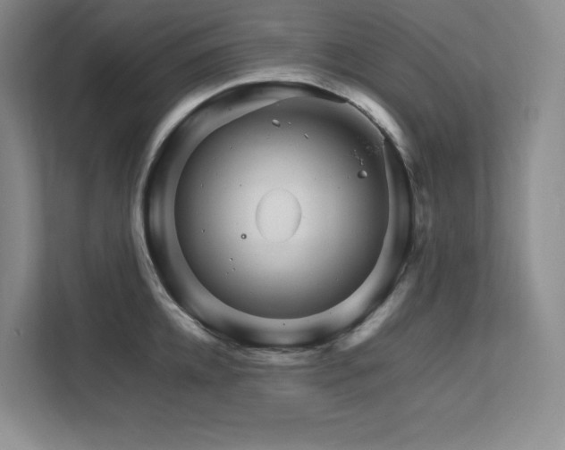 X0000111680952200907171631