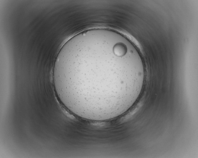 X0000111680953200907171631