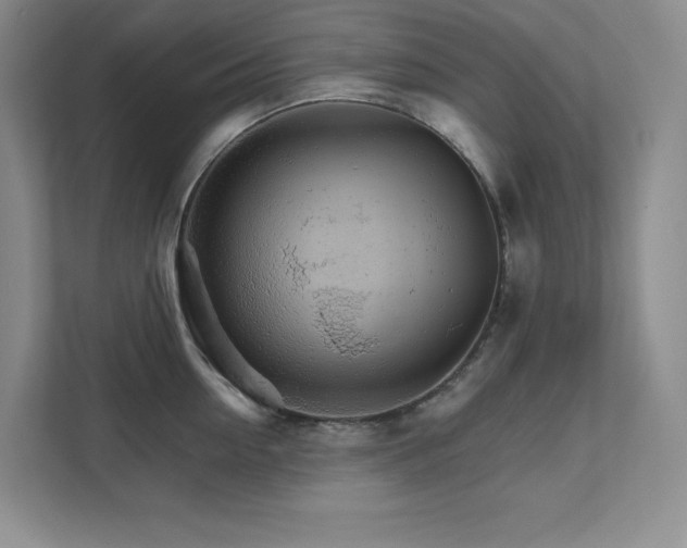 X0000111680954200907171631