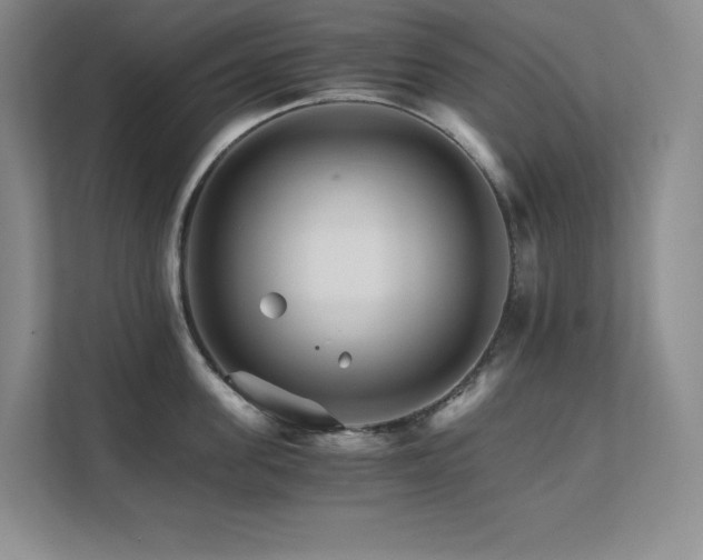 X0000111680955200907171631