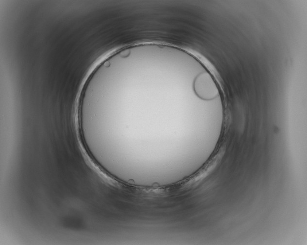 X0000111680957200907171631