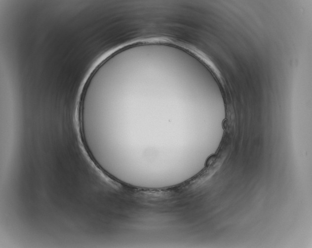 X0000111680959200907171631