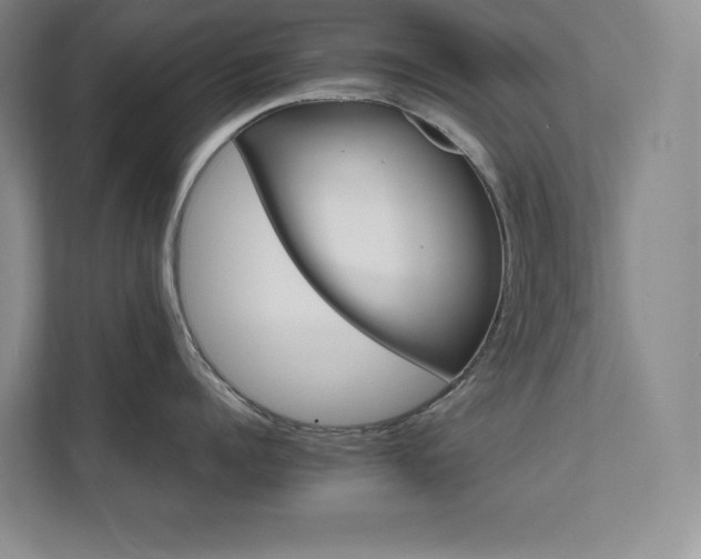 X0000111680960200907171631