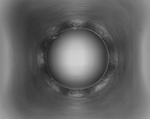 X0000111680962200907171630