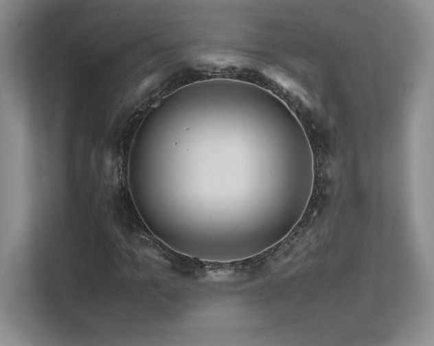 X0000111680965200907171630