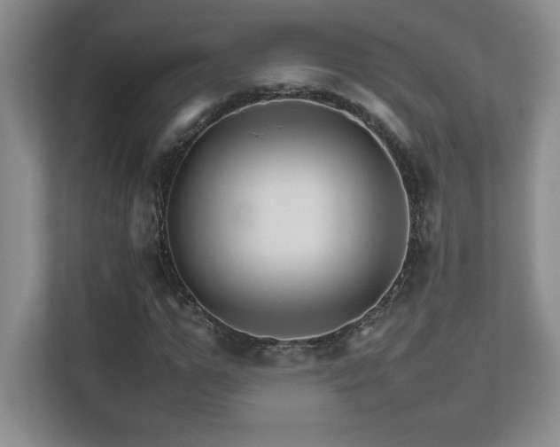 X0000111680967200907171630