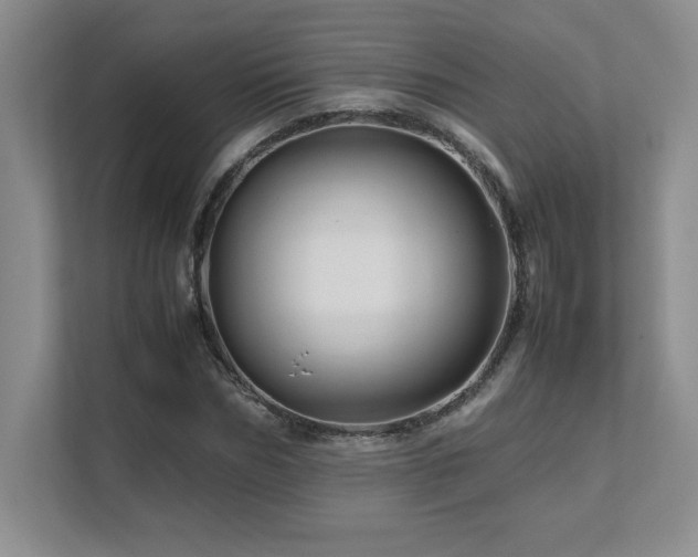 X0000111680970200907171630