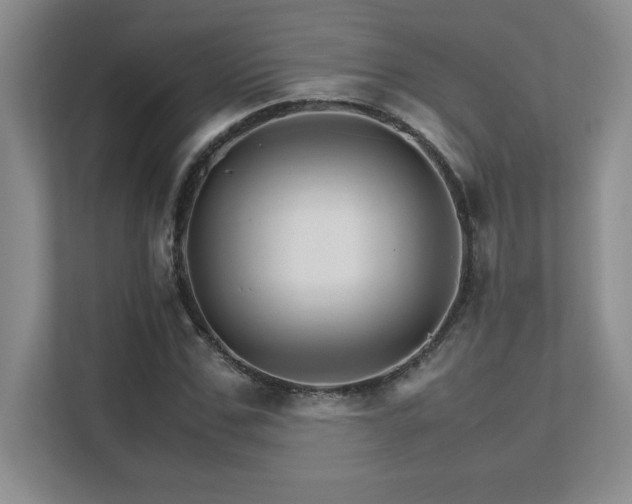 X0000111680971200907171630